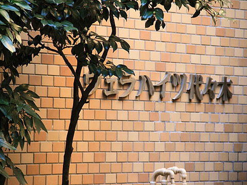 ヴェラハイツ代々木の写真 14枚目