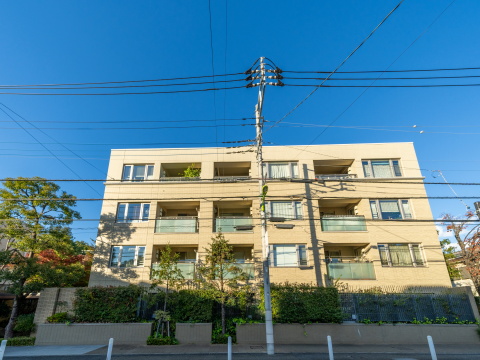 プラウド等々力の写真 12枚目