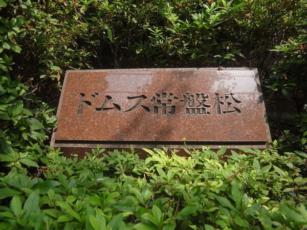 ドムス常盤松の写真 5枚目