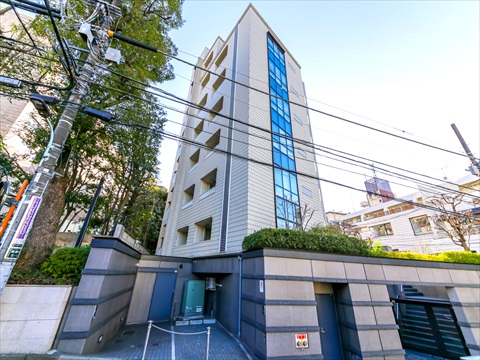 アトラス南麻布の写真 13枚目