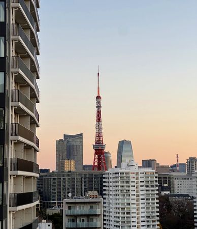 三田ハウスの写真 12枚目