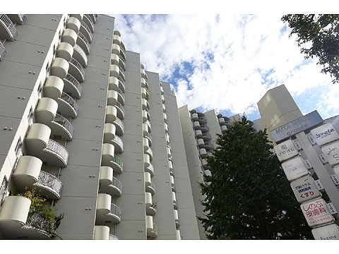 三田ハウスの写真 13枚目