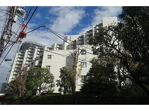 三田ハウスの写真 14枚目