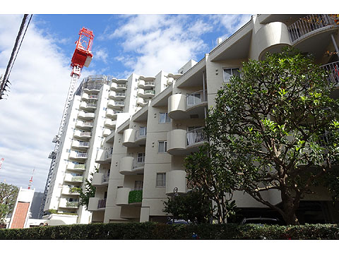 三田ハウスの写真 15枚目