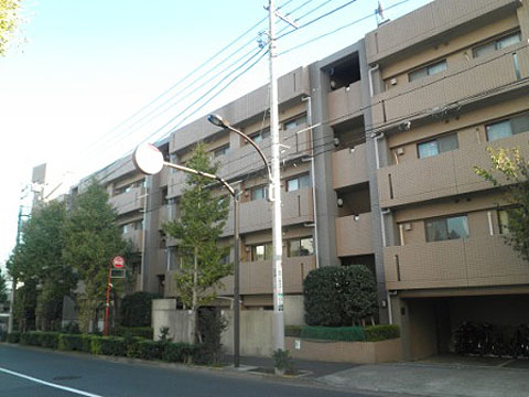 クレッセント深沢の写真 11枚目