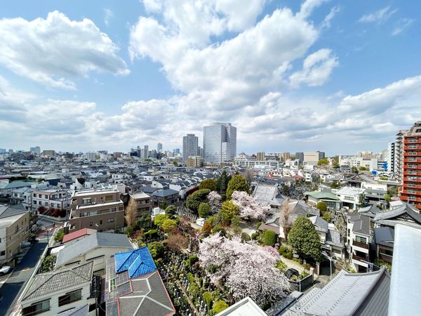 シティハウス文京本駒込の写真 4枚目