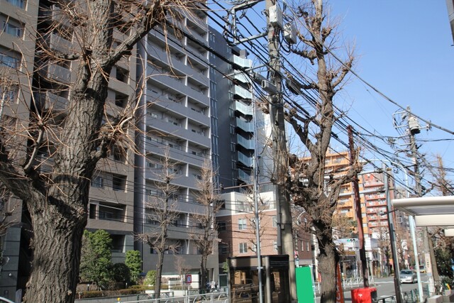 シティハウス文京本駒込のエントランス・共用部