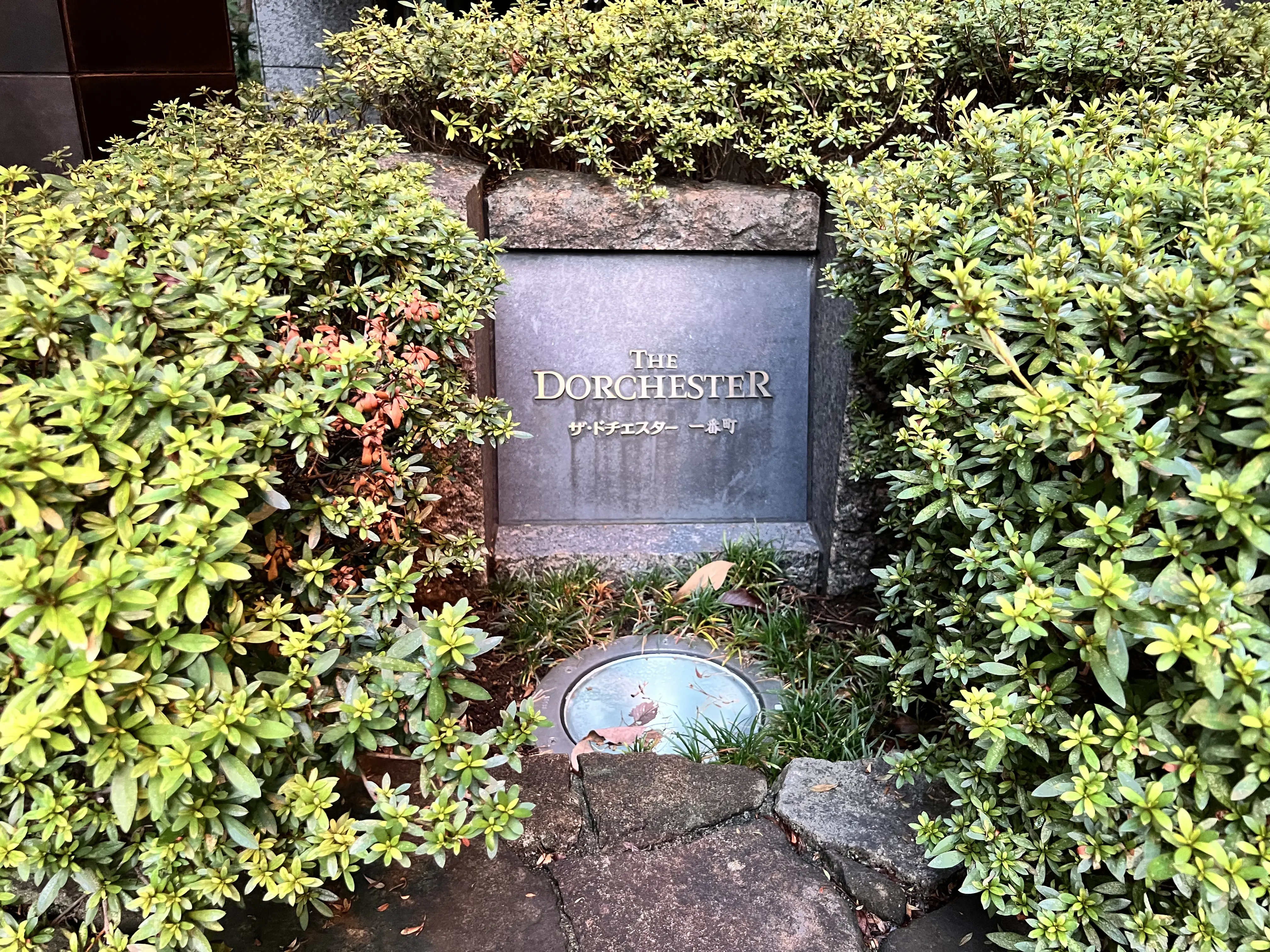 ザ・ドチェスター一番町