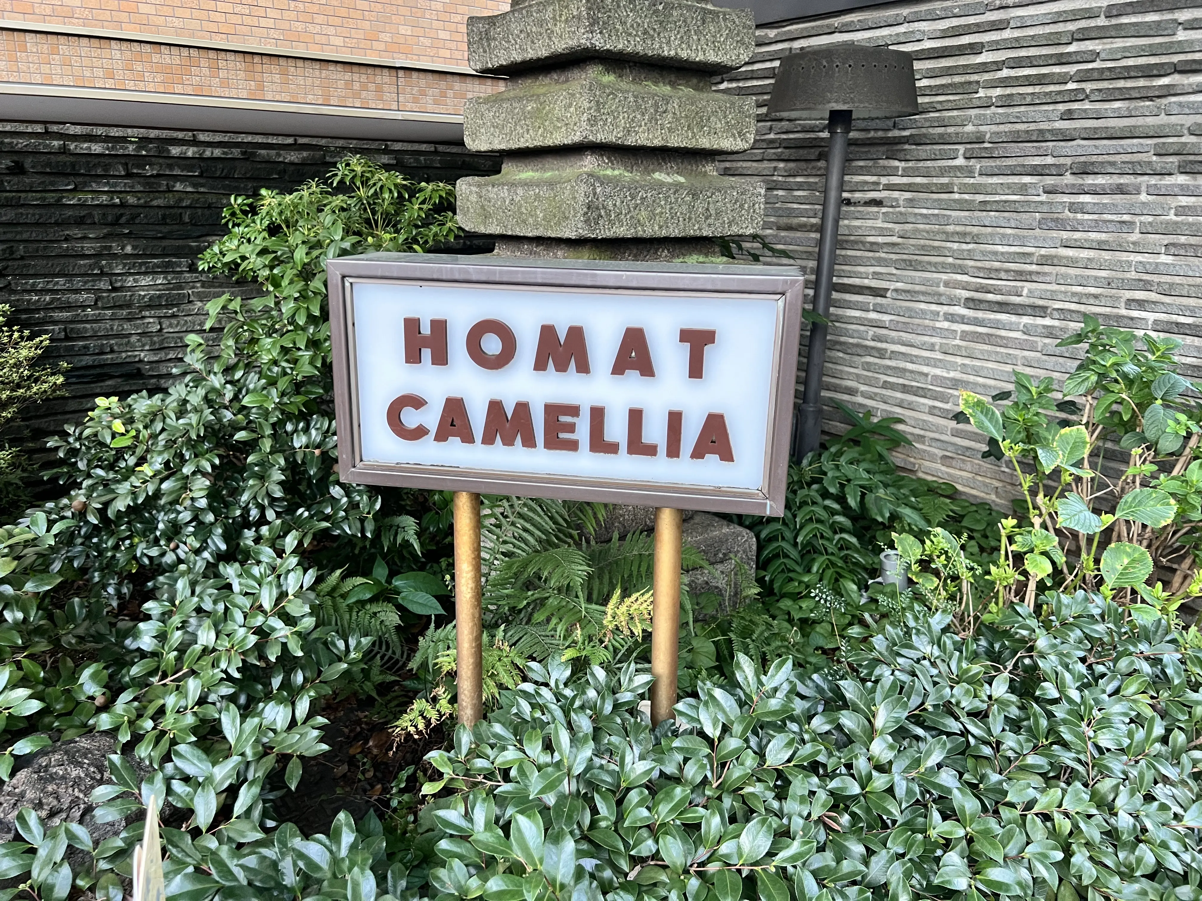 ホーマットカメリア