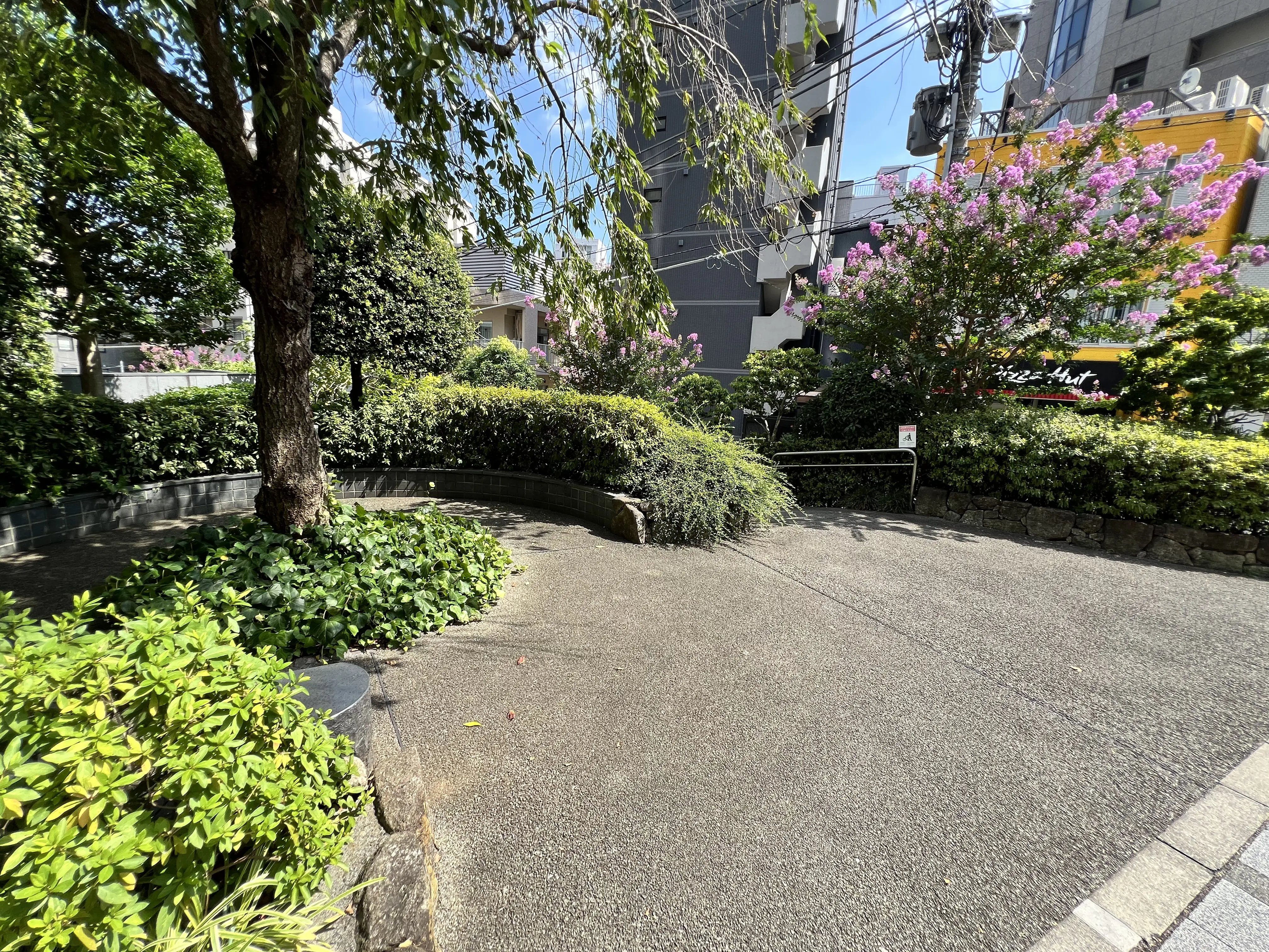 シエルトーレ三番町